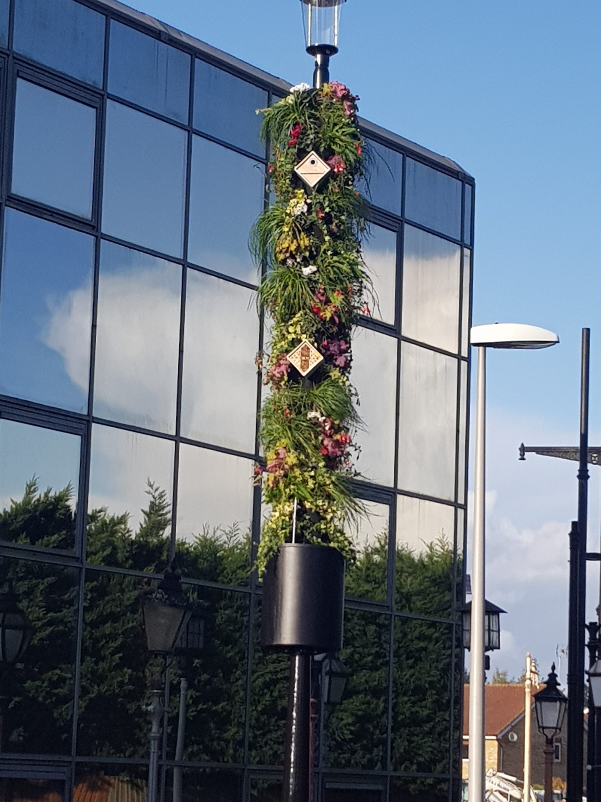 Living Pillars in Balham – Beautify Balham